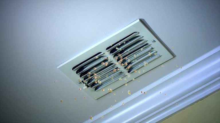 Best Residential Air Duct Cleaning  in Warsaw, VA