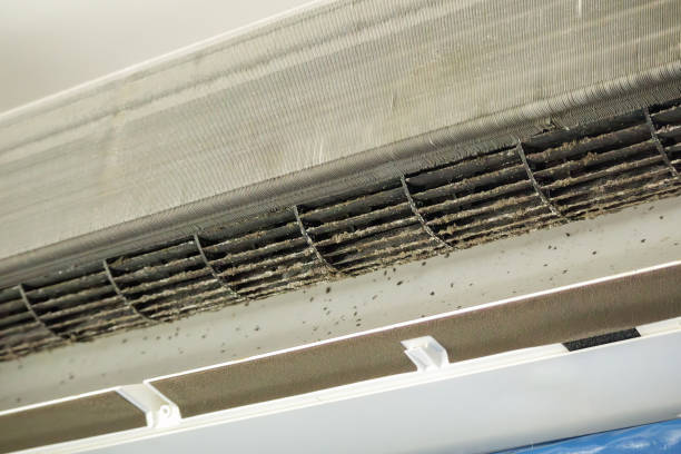 Best Ductwork Cleaning Services  in Warsaw, VA